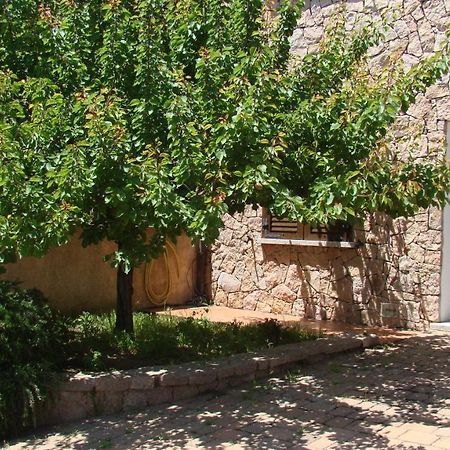 Apartamento Bella Casa Con Giardino A 10 Minuti Dal Mare Aglientu Exterior foto