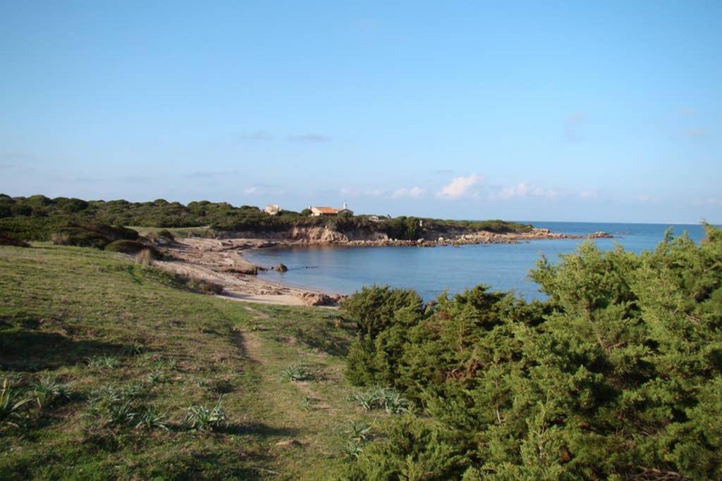Apartamento Bella Casa Con Giardino A 10 Minuti Dal Mare Aglientu Exterior foto